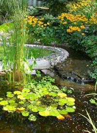 Pond Care