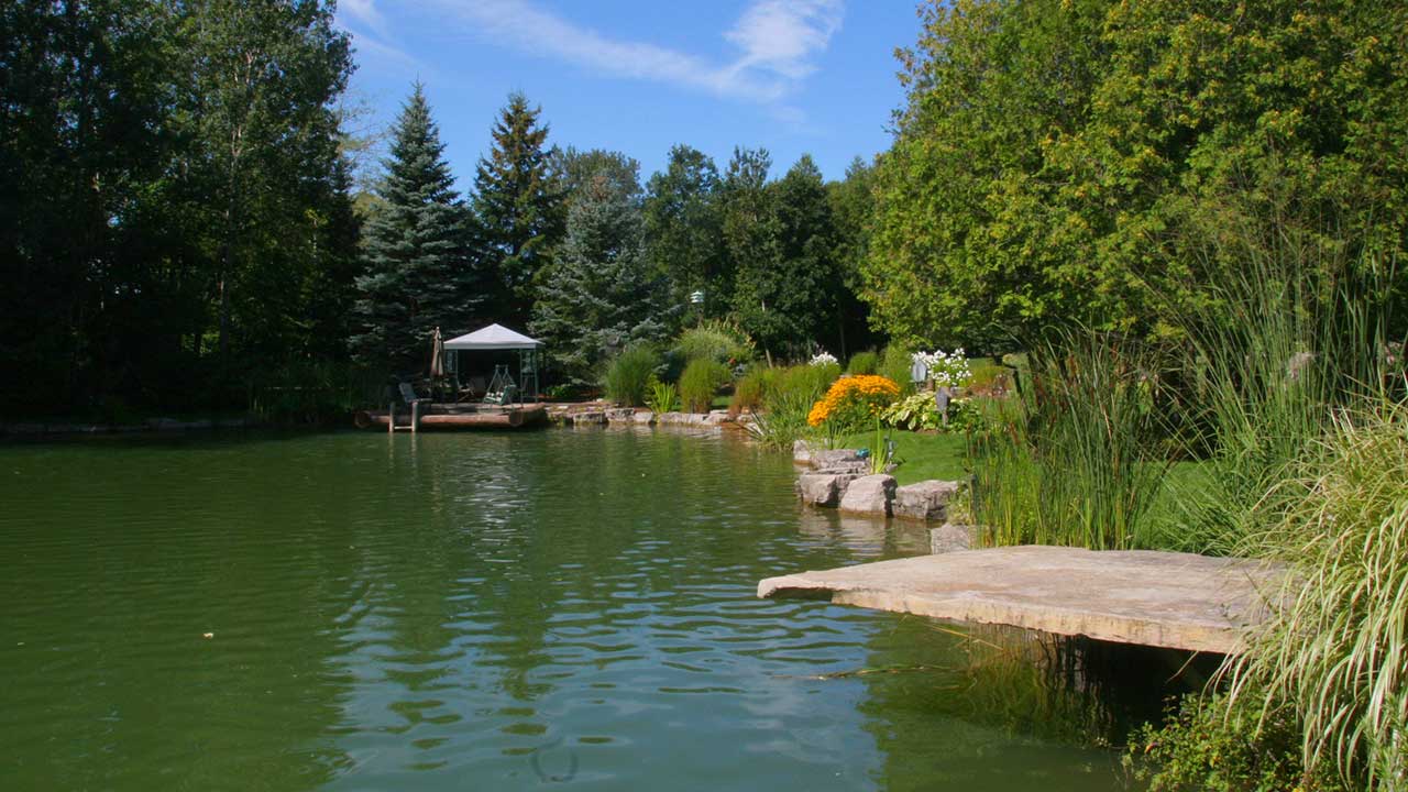 Giant Flagstone 17