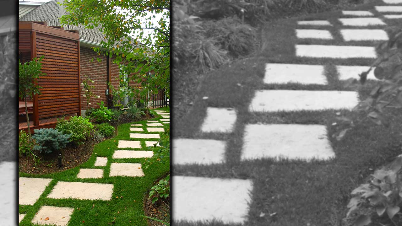Stepping Stones 02