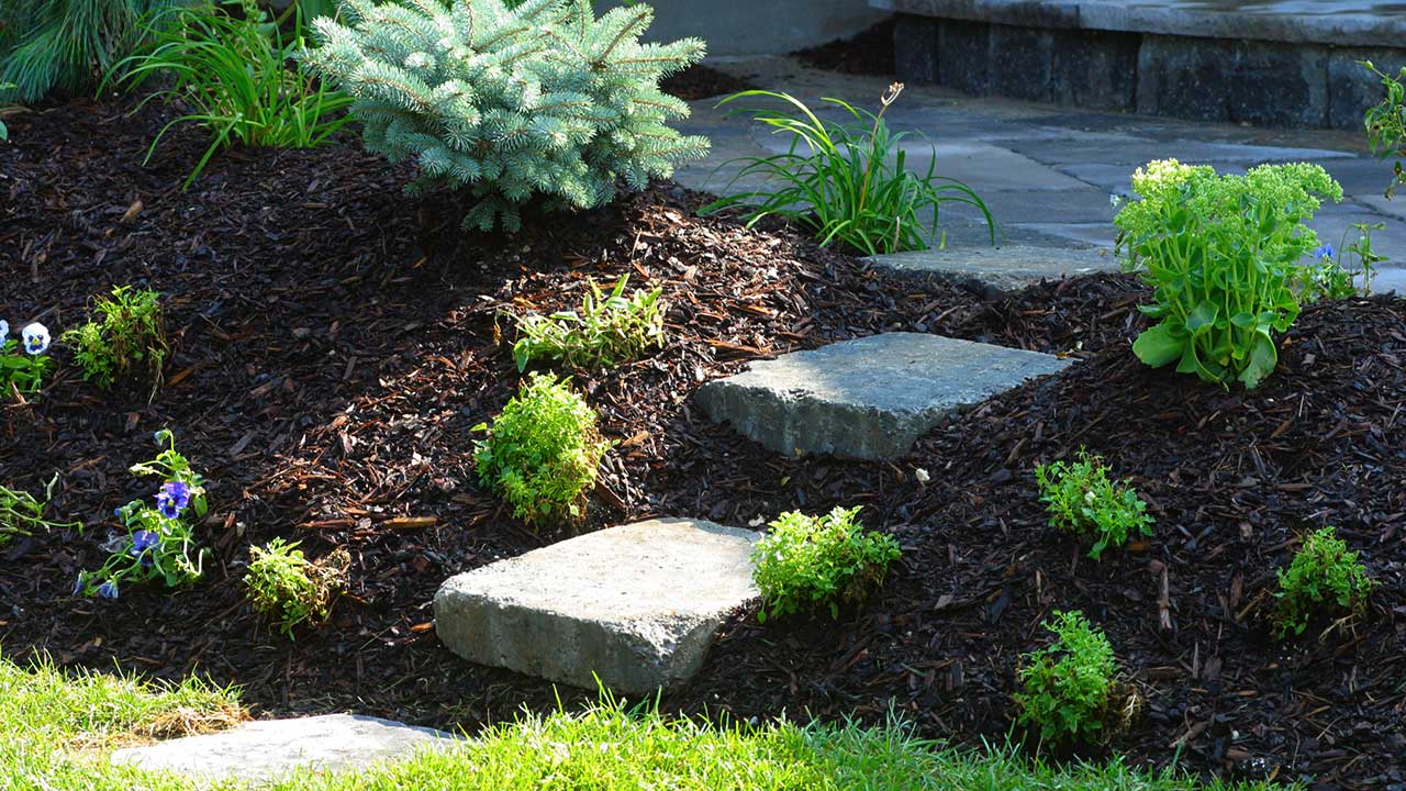 Stepping Stones 12