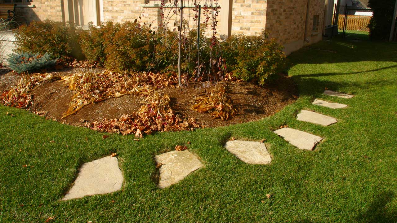 Stepping Stones 16