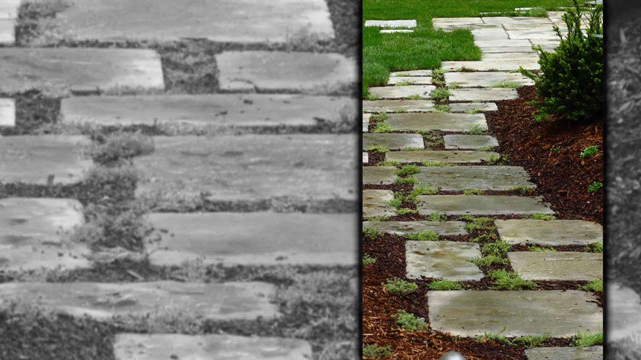 Stepping Stones 18