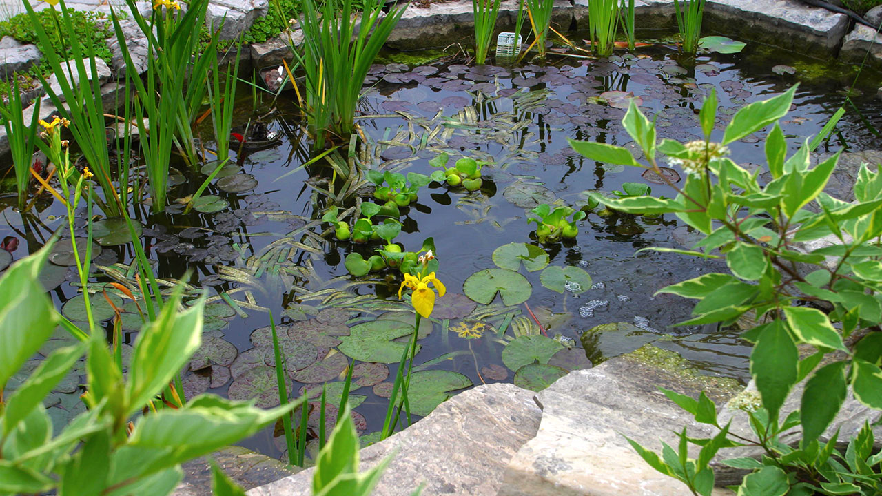 water-features