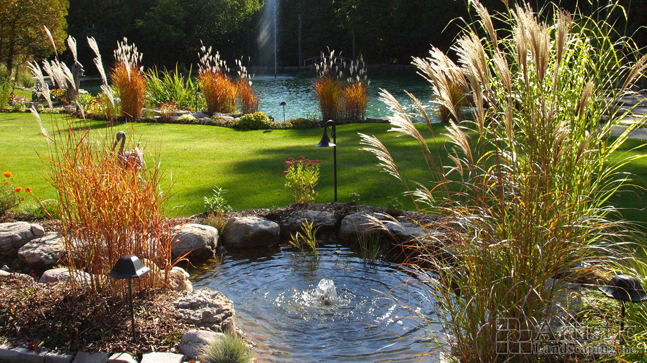 Ponds01