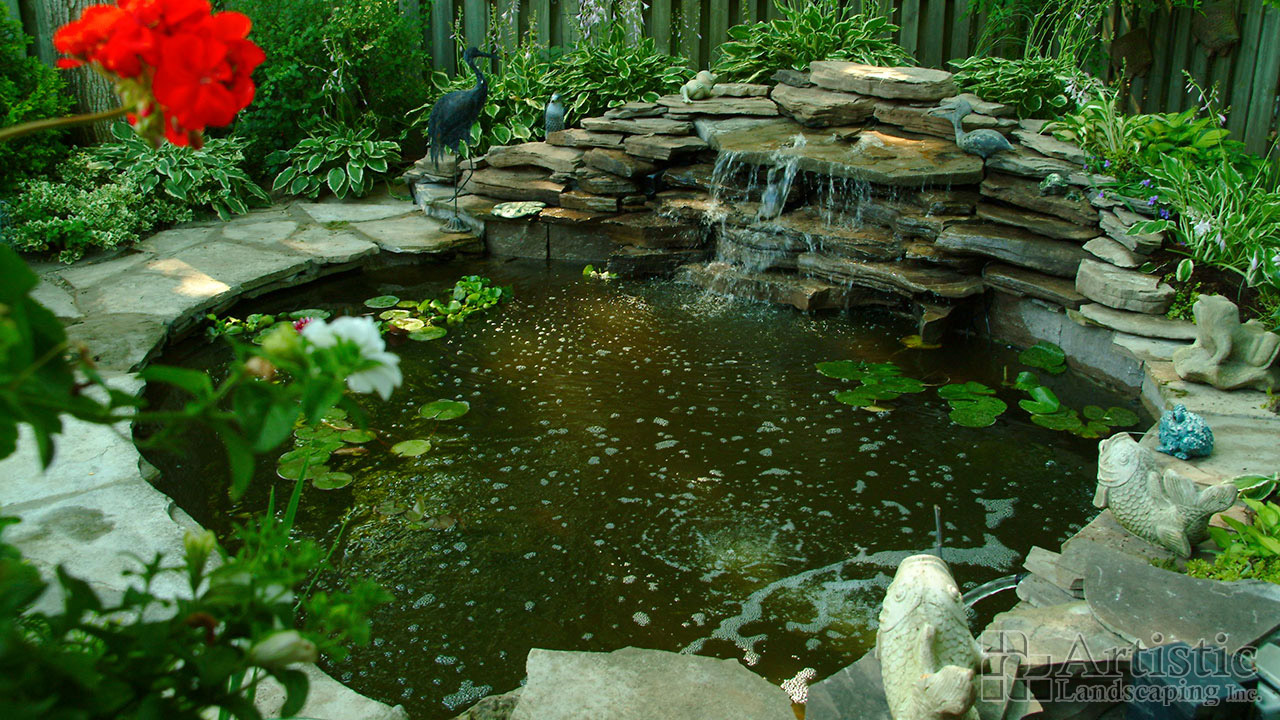 Ponds02