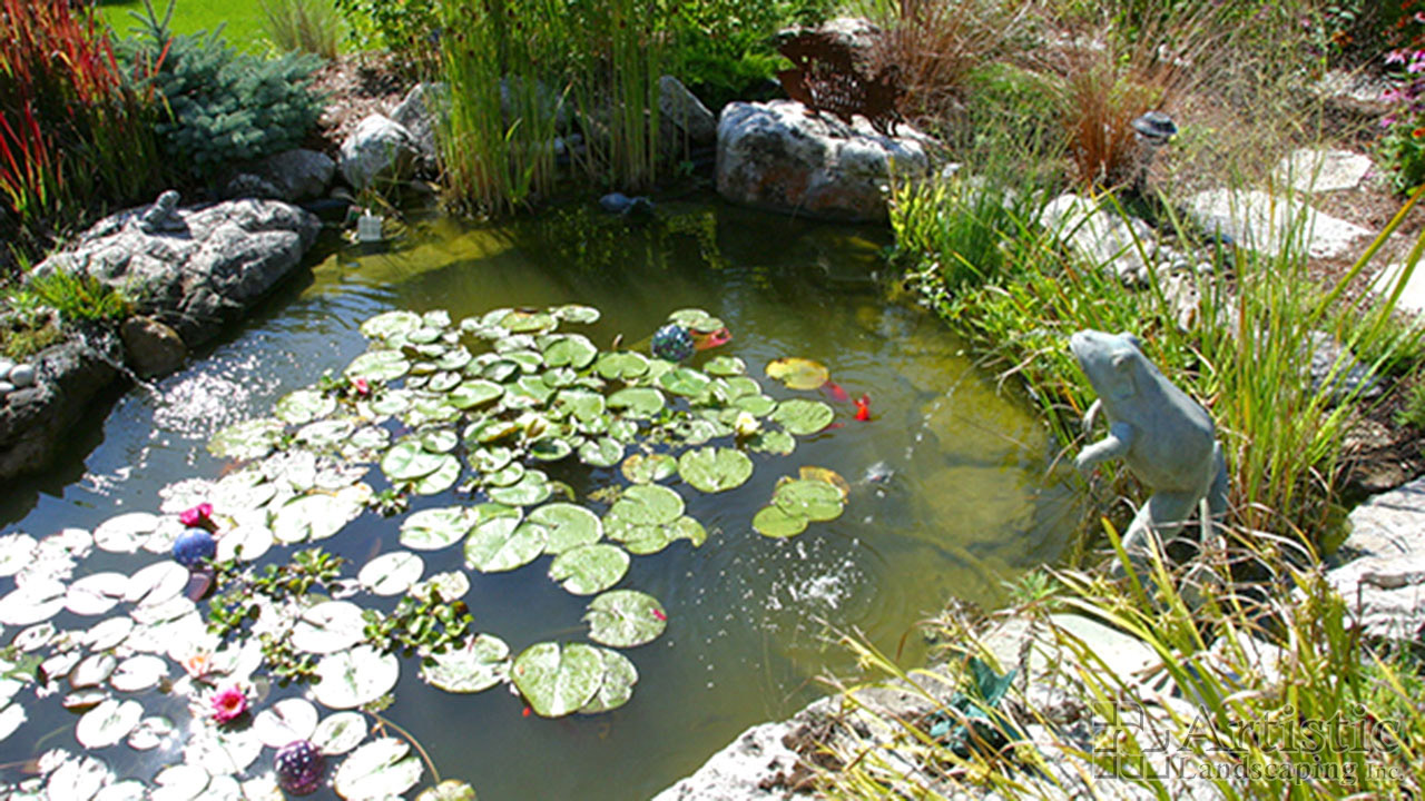 Ponds03