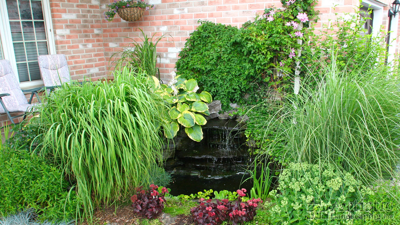 Ponds03
