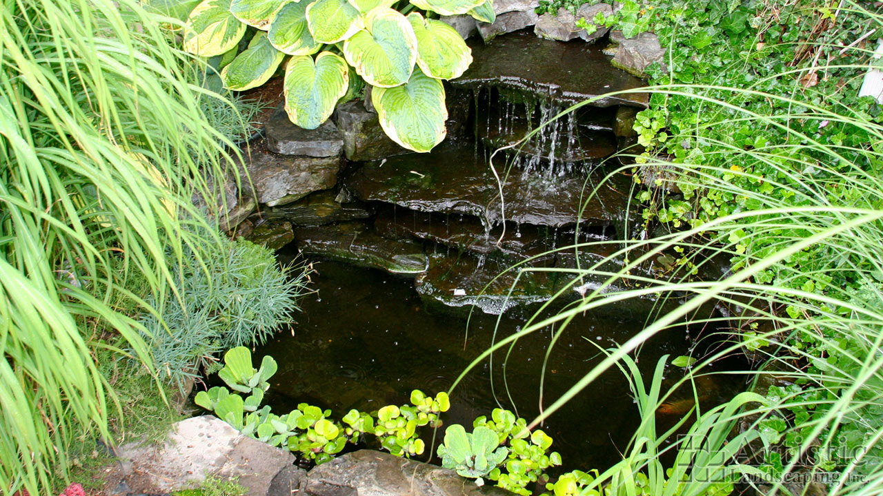 Ponds03
