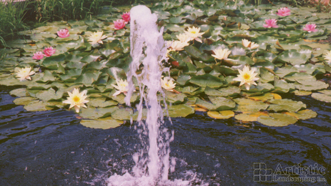 Ponds03