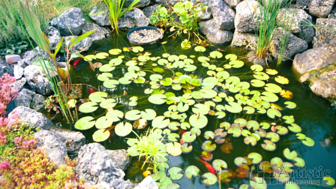 Ponds03
