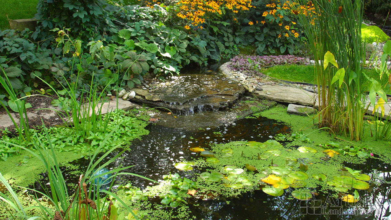 Ponds03