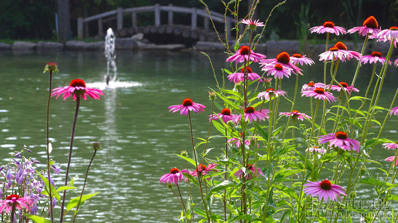 Ponds03
