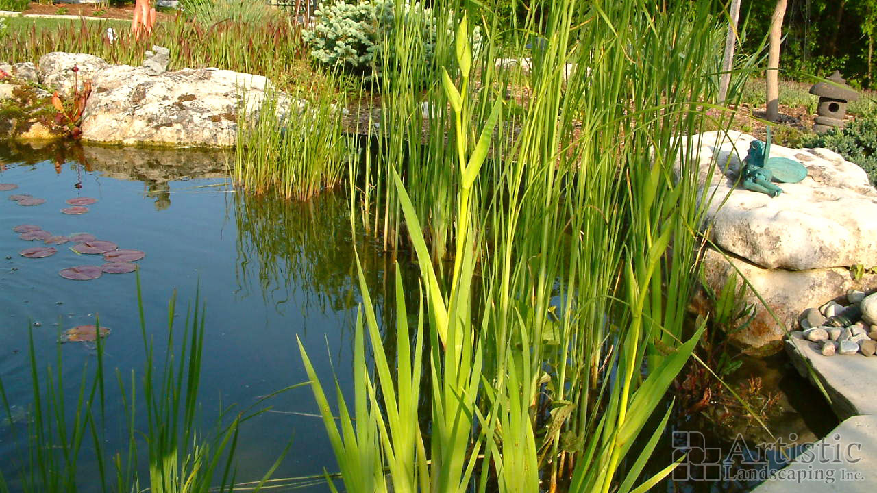 Ponds03