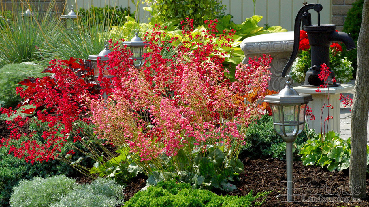 Garden Beds Plantings 03