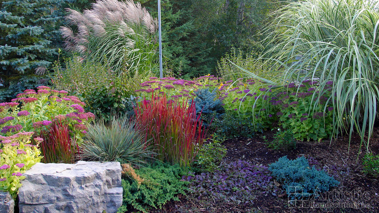 Garden Beds Plantings 15