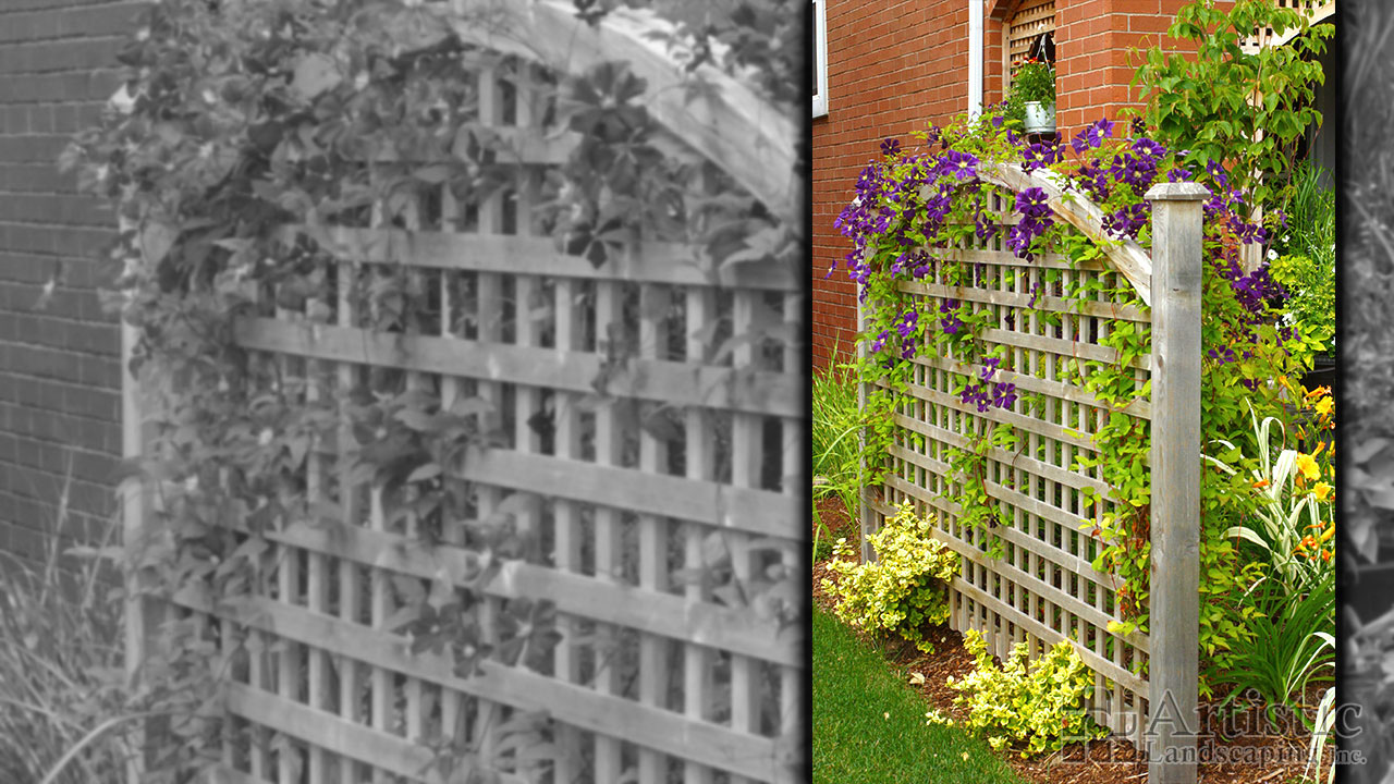 Privacy Screens 04